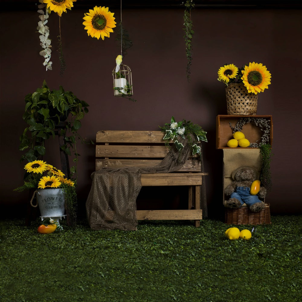 Toile de fond Tournesol d'été Banc Citron RR3-20