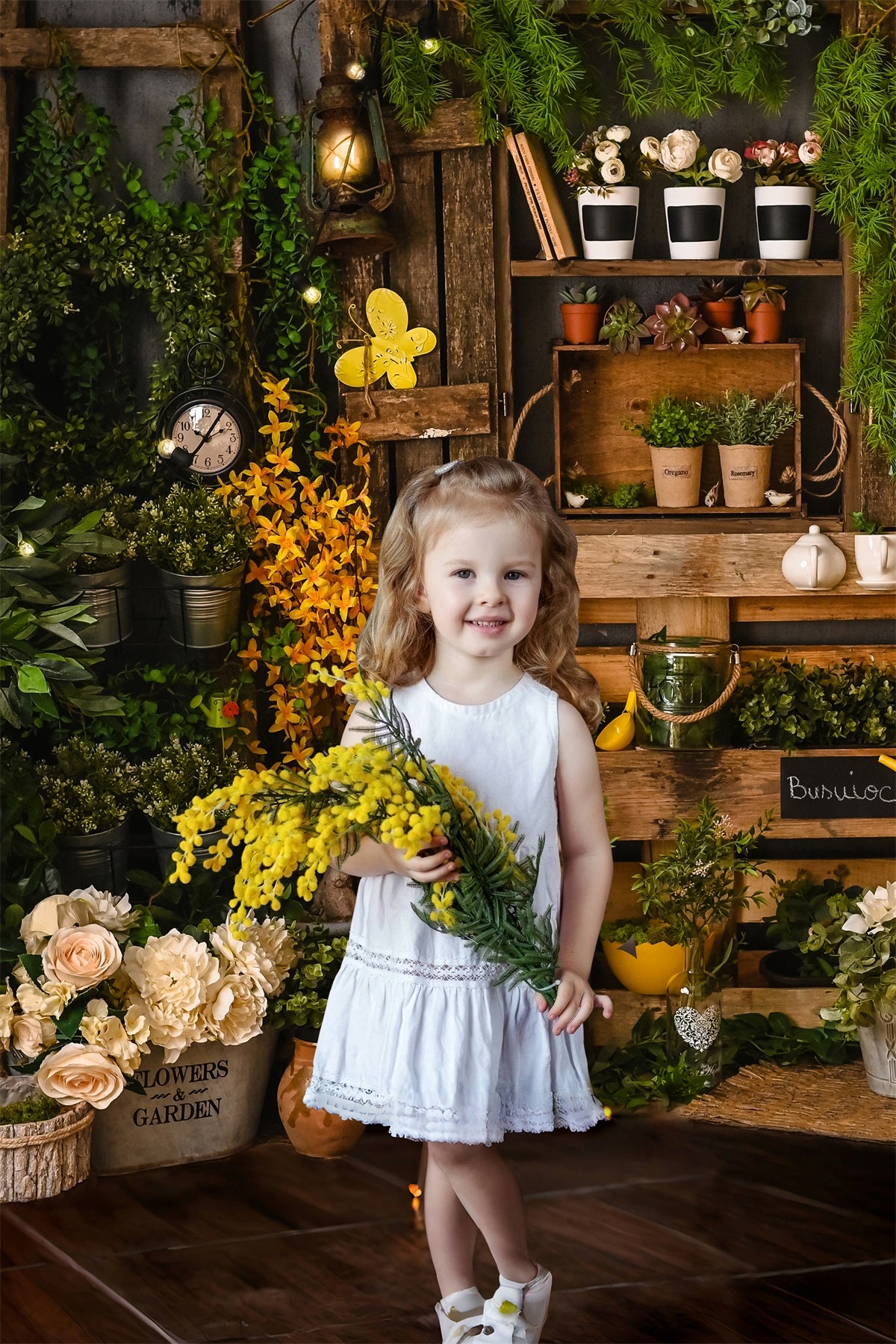 Toile de fond panneau en bois printemps Verdure Plante en pot Jardinage RR3-23