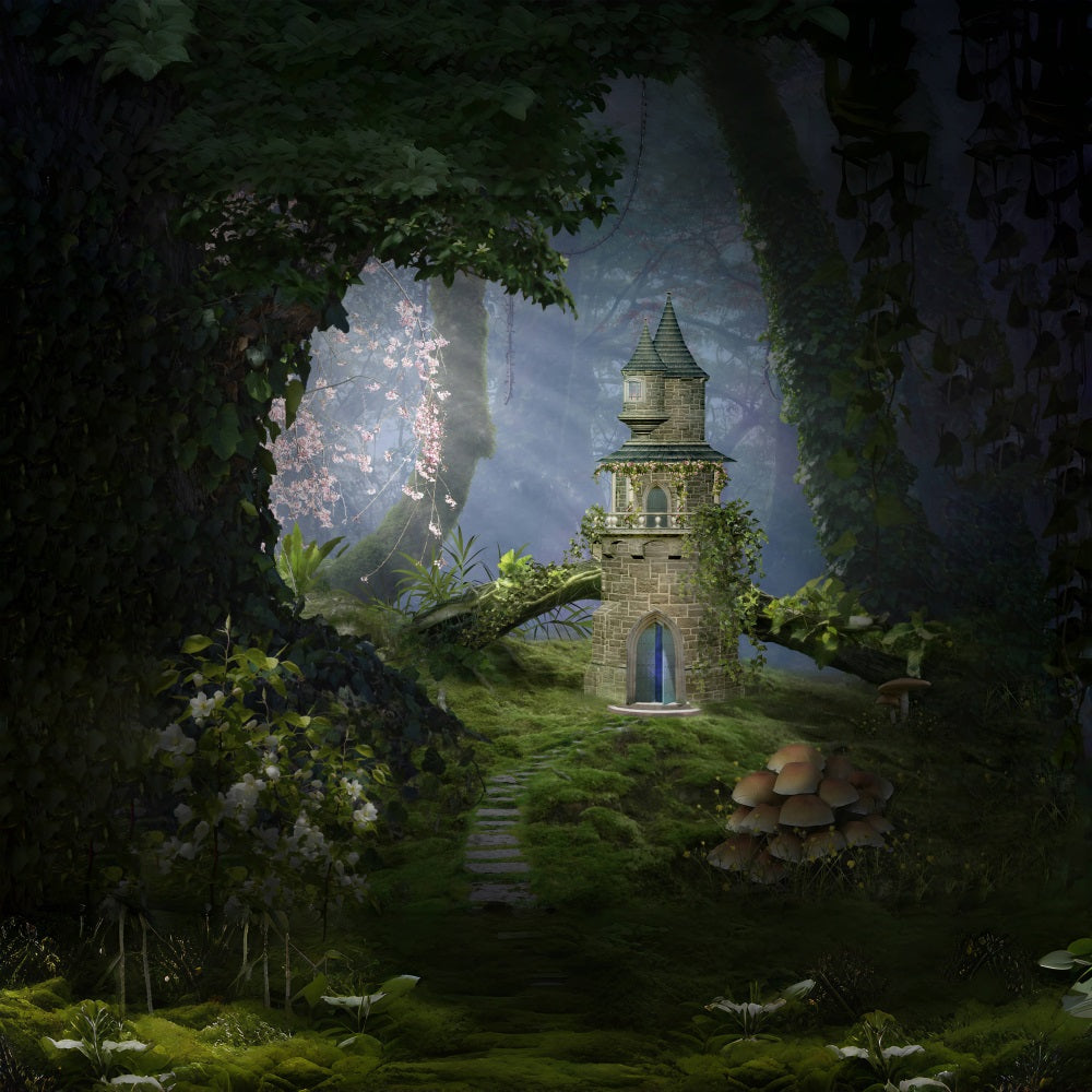 Toile de fond pour thème forêt-champignon-château-mystère RR3-32