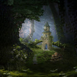 Toile de fond pour thème forêt-champignon-château-mystère RR3-32