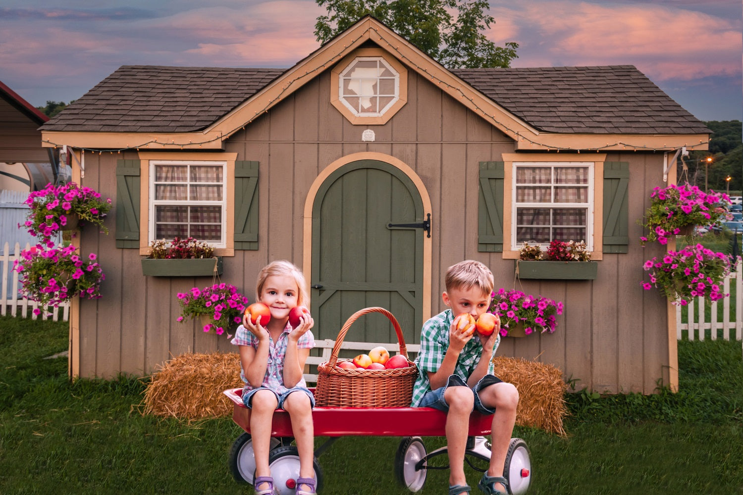 Esthero Pétunia dans un coucher de soleil Grange rustique Toile de fond RR3-36