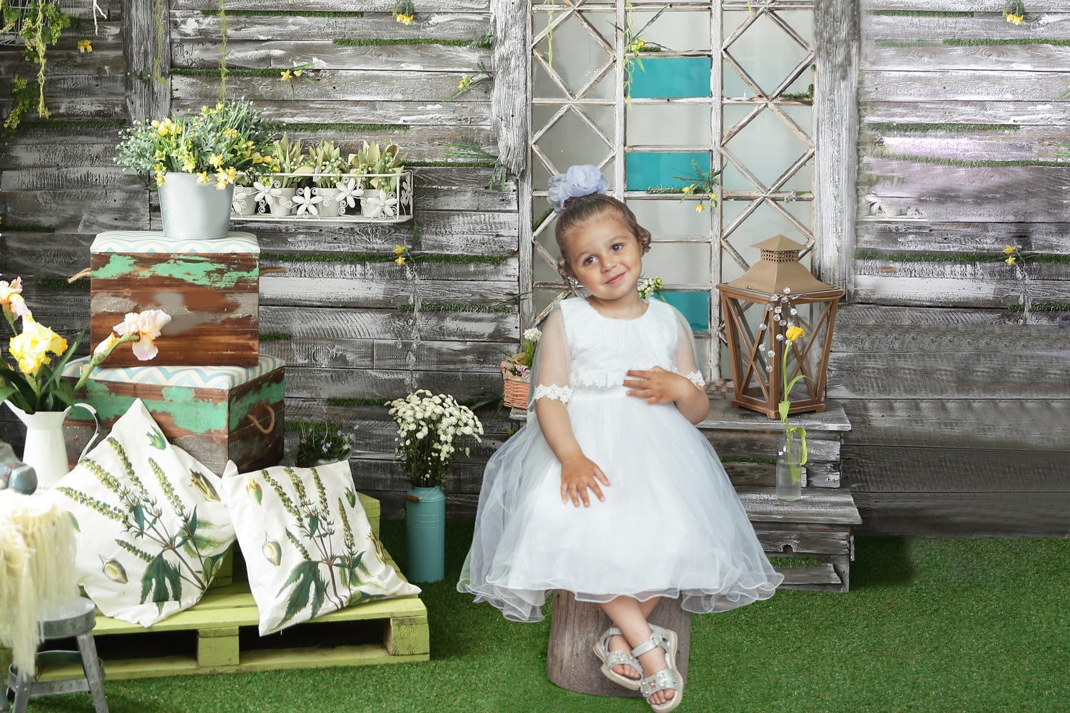 Esthero Toile de fond en bois avec plantes en pot et fleurs printanières RR3-39