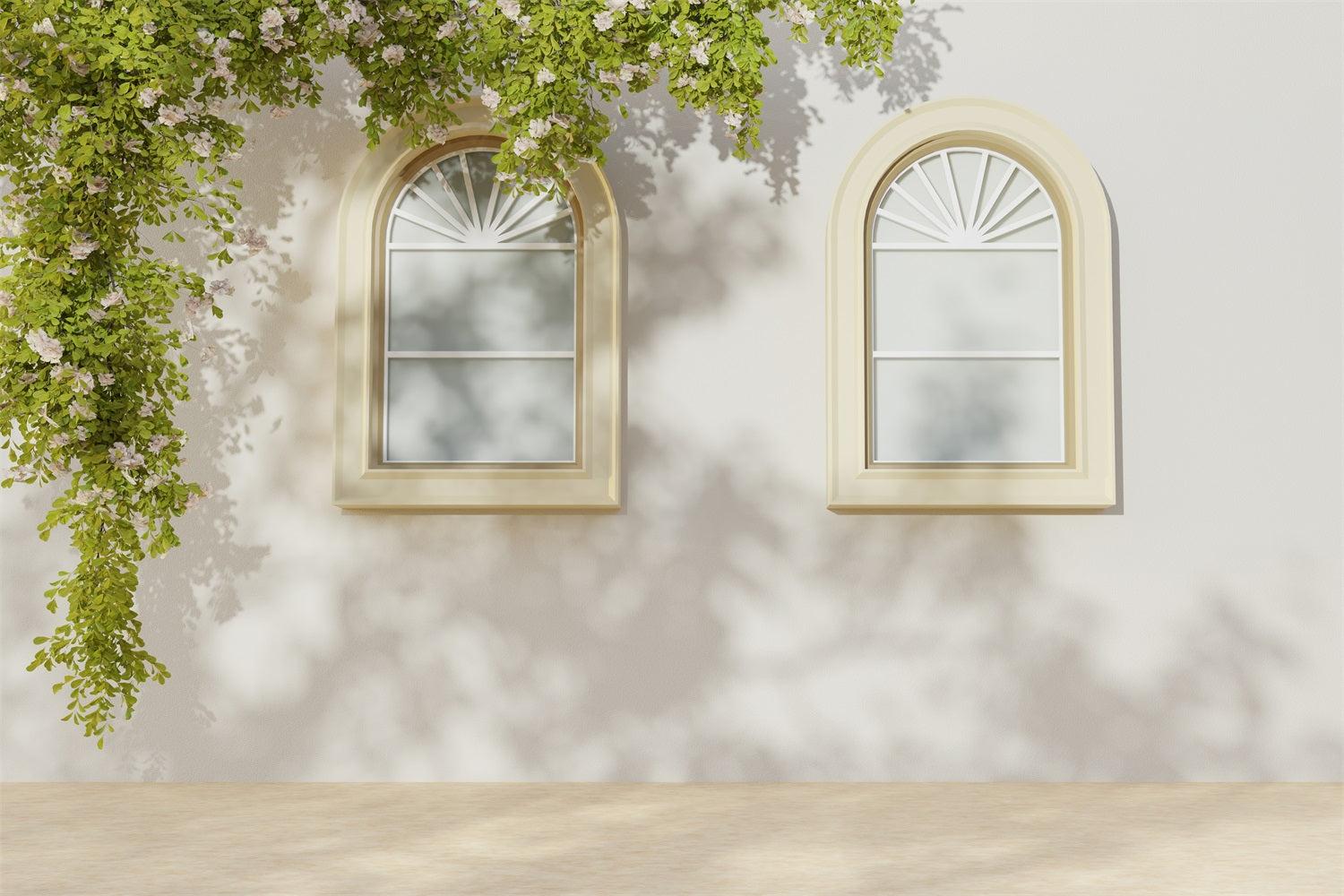 Toile de Fond Mur Blanc avec Fenêtre Vintage et Plante Verte RR5-13