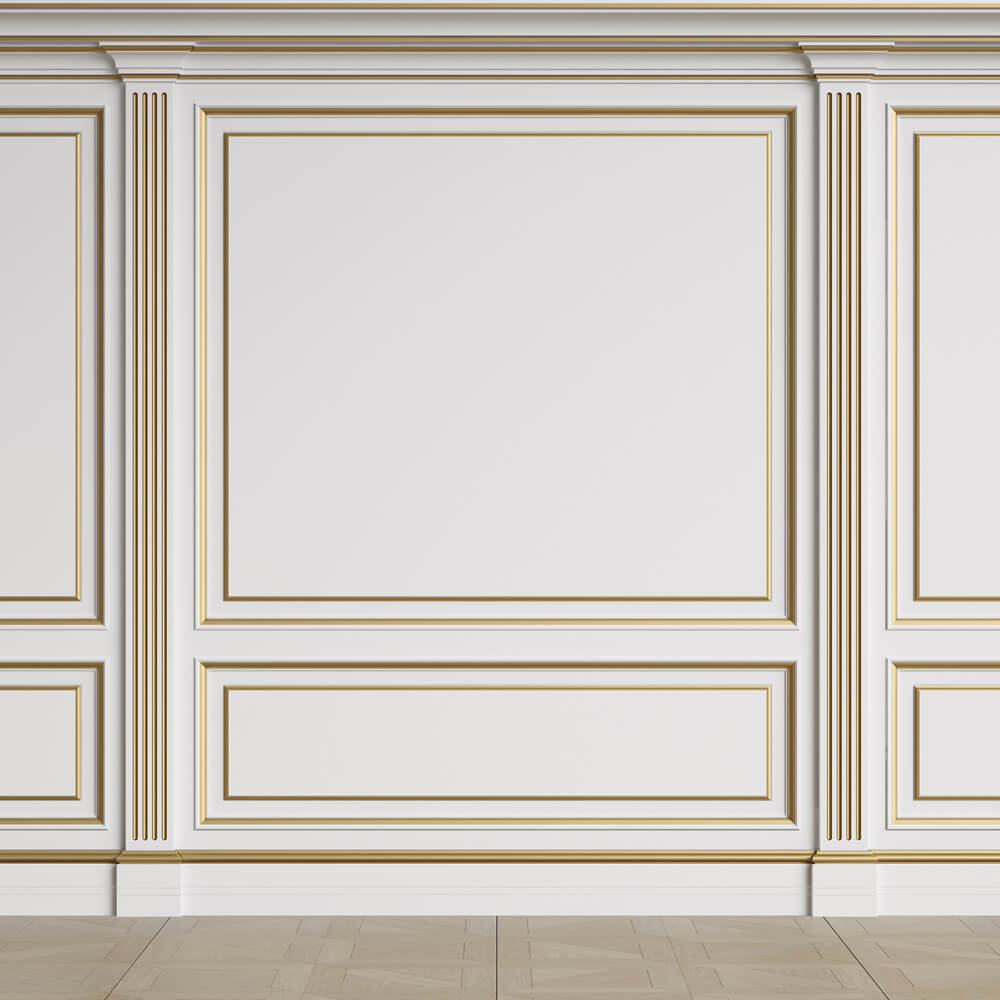 Toile de fond de Photographie Mur Rétro Blanc Intérieur RR6-89