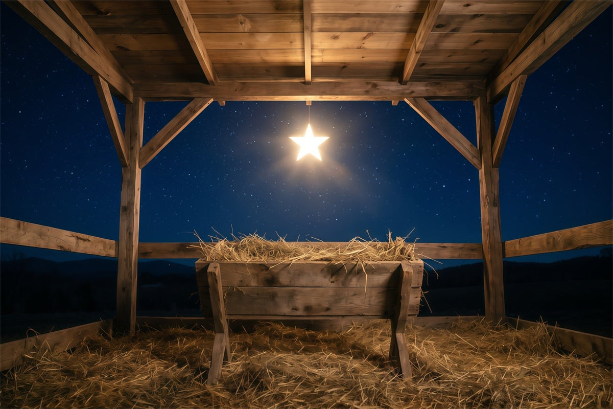 Fond De Crèche De Noël Nuit Étoilée Étable Mangeoire RR610-111