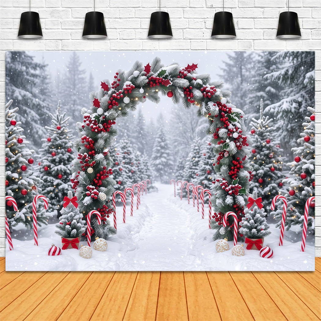 Fond Photo De Noël Arche Guirlande Baies Enneigées RR610-125