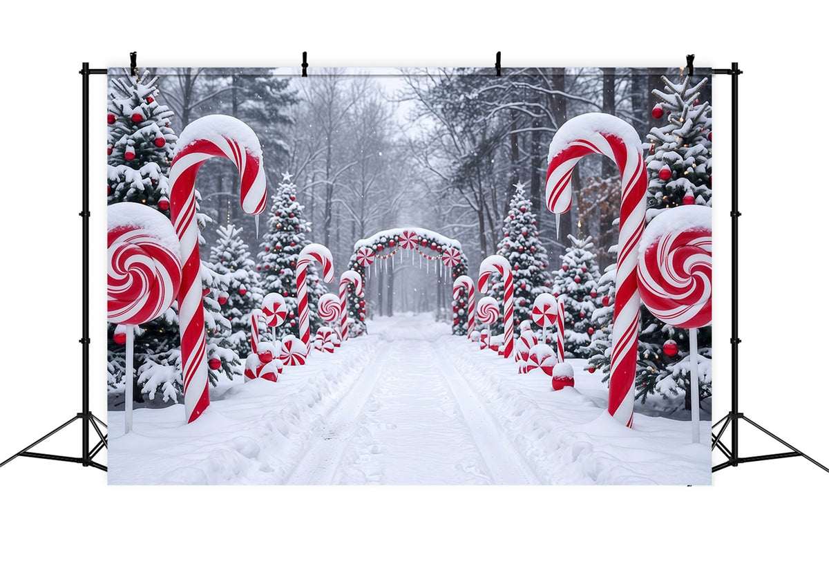 Fond De Noël Bonbons Sucre Sentier Forestier Enneigé RR610-126