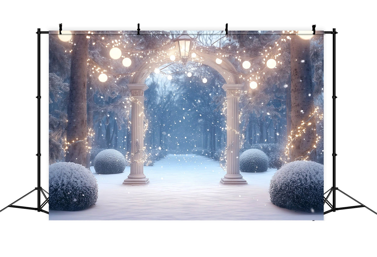 Fond De Forêt De Noël Arche Jardin Illuminée Enneigée RR610-127