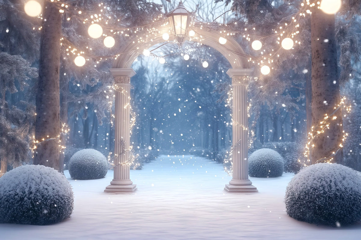 Fond De Forêt De Noël Arche Jardin Illuminée Enneigée RR610-127