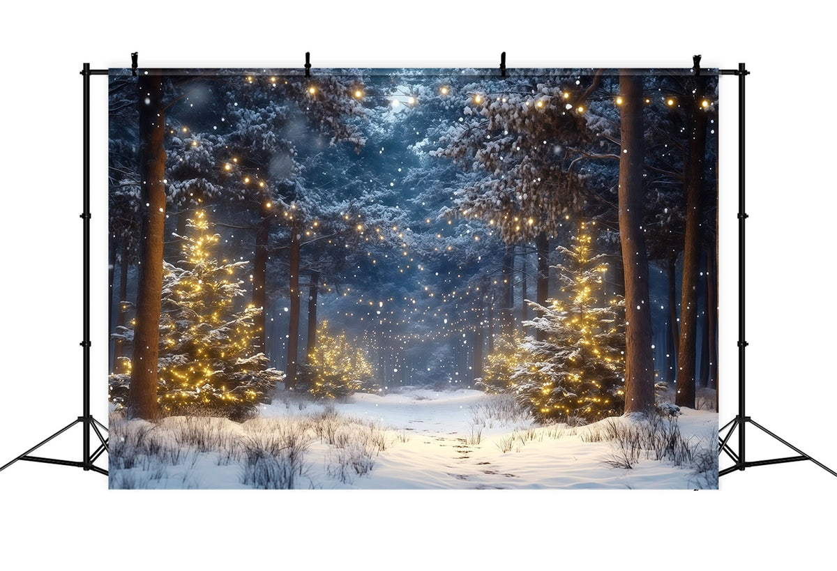 Fond Photo Ferme De Sapins Forêt Enneigée Lumières Dorées RR610-66