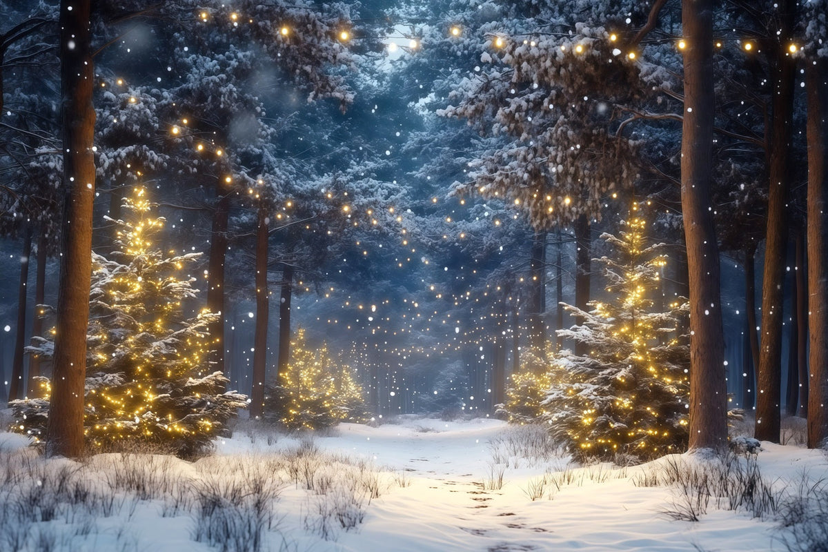 Fond Photo Ferme De Sapins Forêt Enneigée Lumières Dorées RR610-66