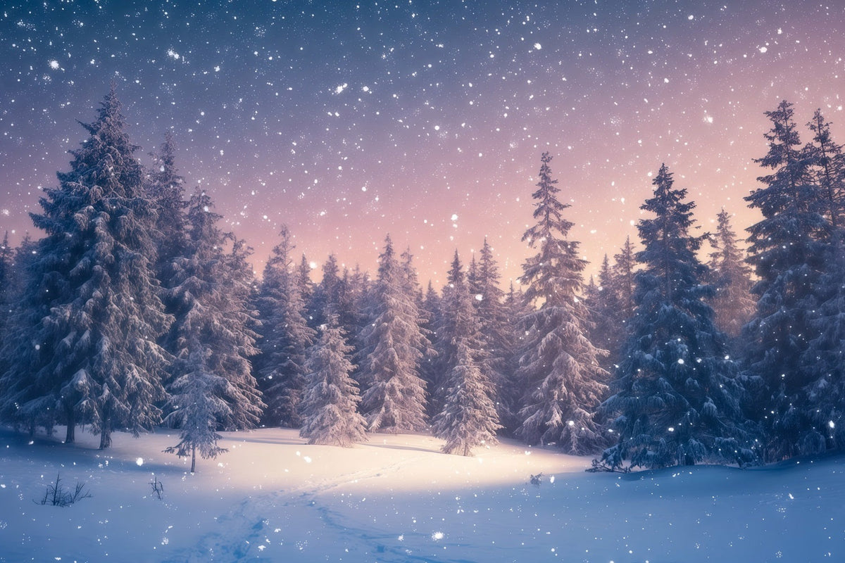 Fond De Sapins De Noël Forêt Hivernale Crépuscule RR610-92
