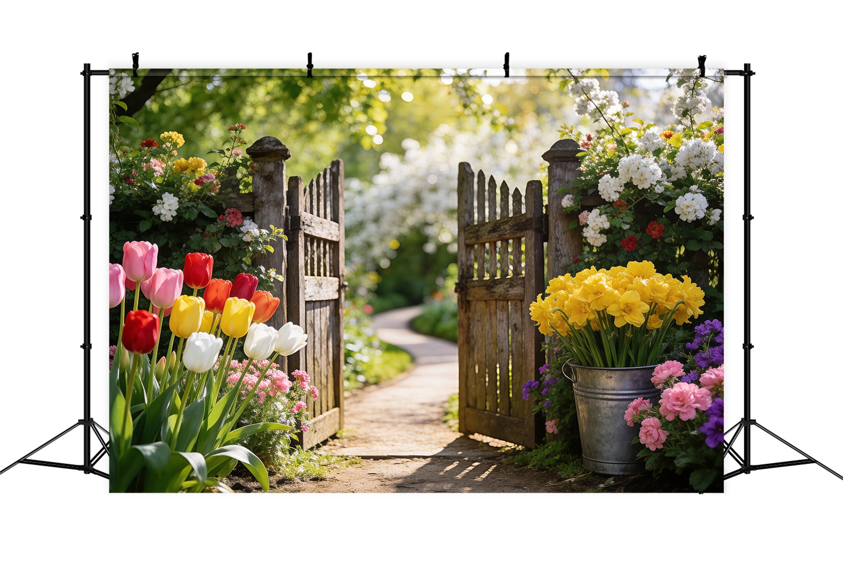 Toile de Fond Jonquilles Portail Bois Jardin Tulipees RR62-29