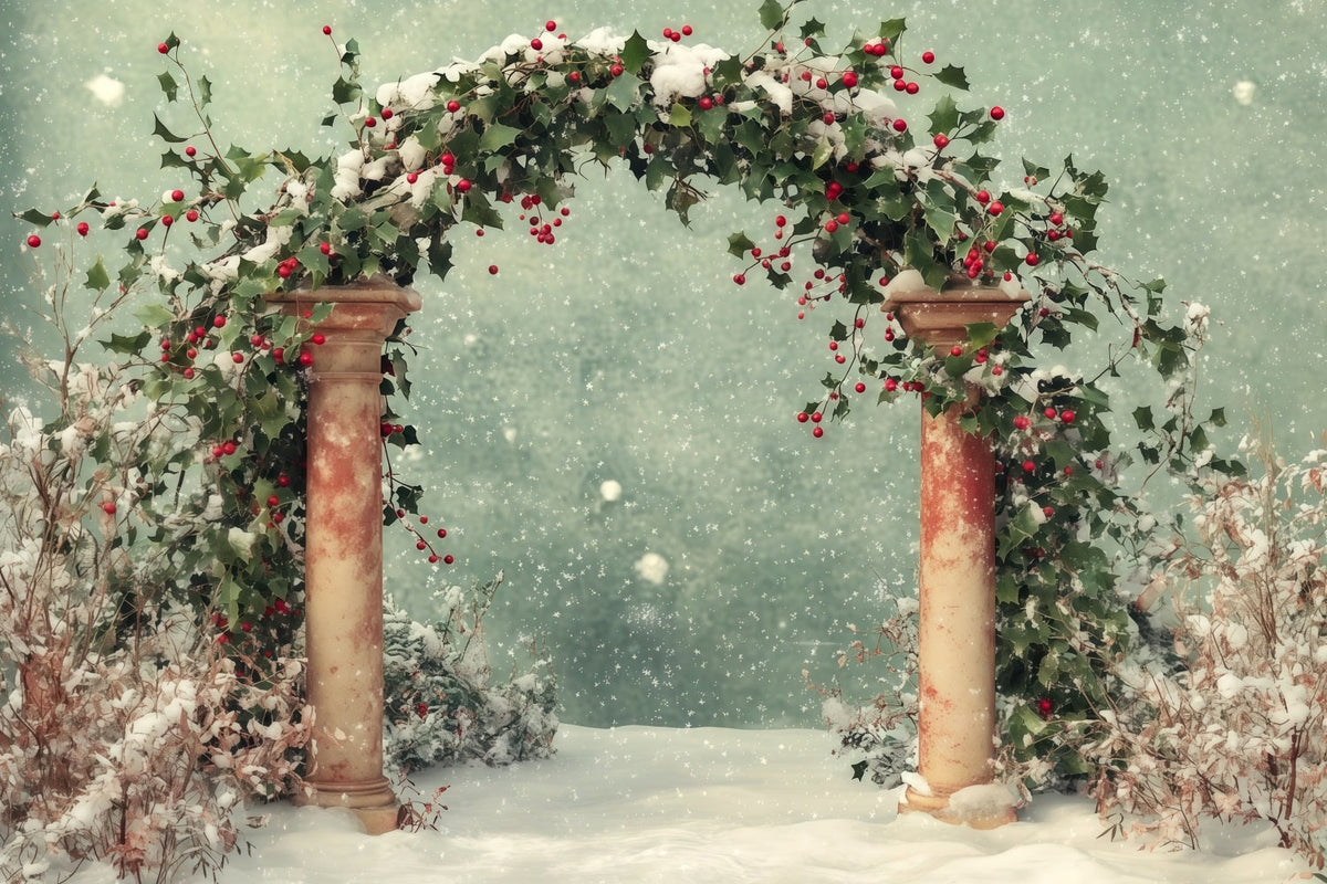 Décor De Noël Enneigé Arche De Houx Enneigée En Hiver Décor De Noël RR68-65