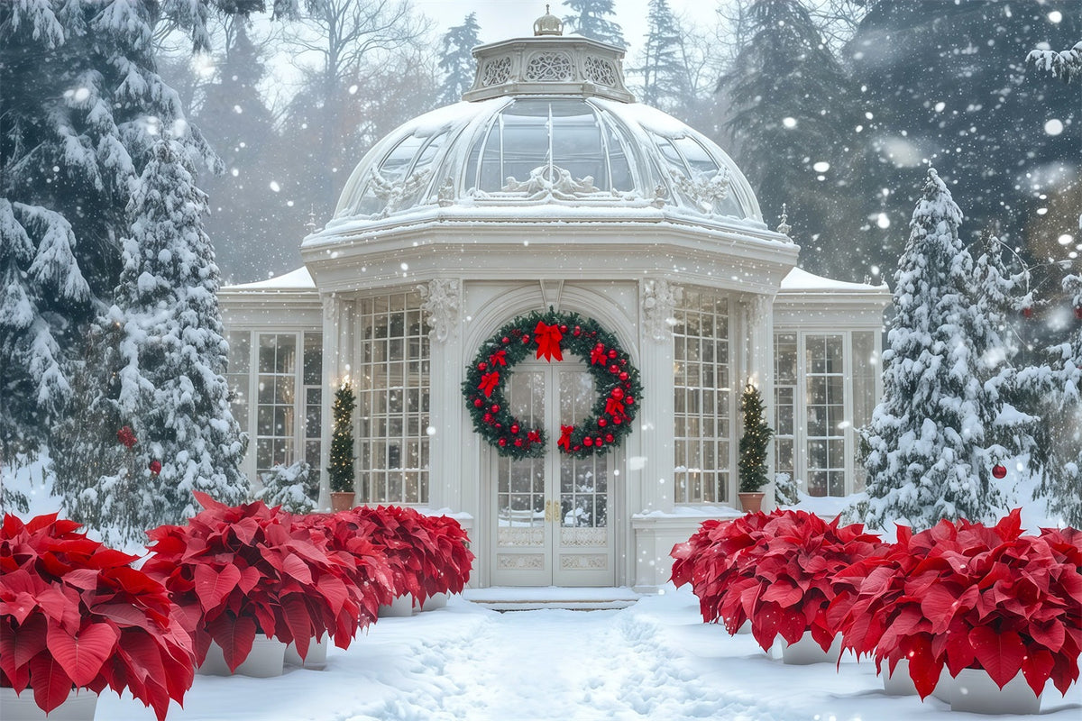 Décor De Noël Enneigé Jardin De Poinsettias De La Serre Décor Photographique De Noël RR69-12