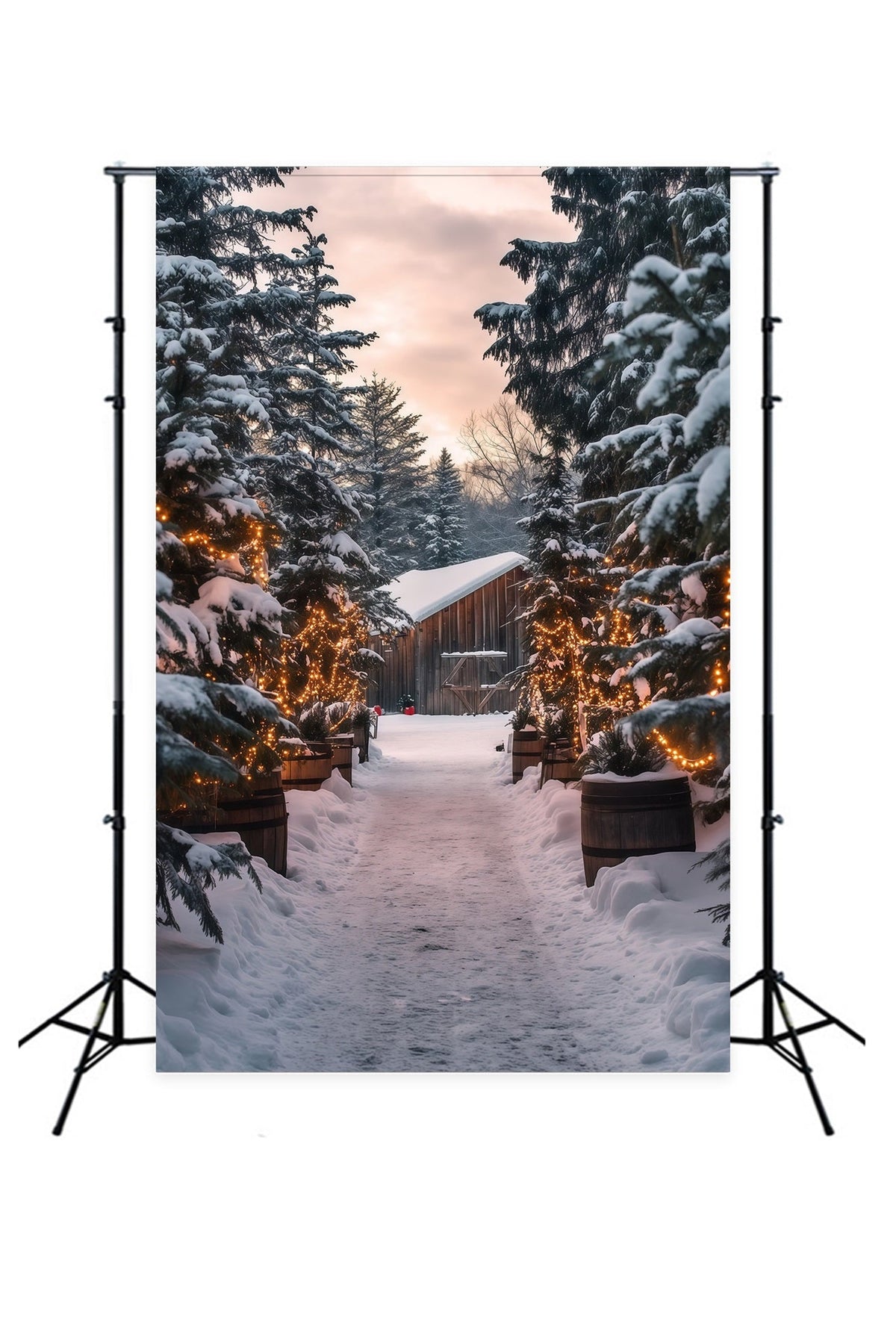 Décor De Cabane De Noël Chemin Lumineux De La Forêt Enneigée Décor De Studio De Noël RR69-25
