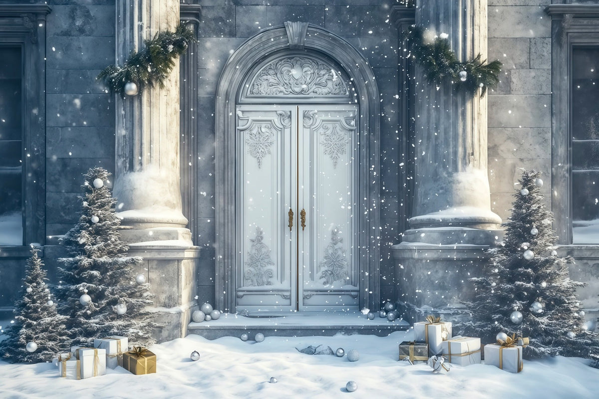 Décor De Maison De Noël Entrée Du Palais Enneigé Fond Photo De Noël RR69-57