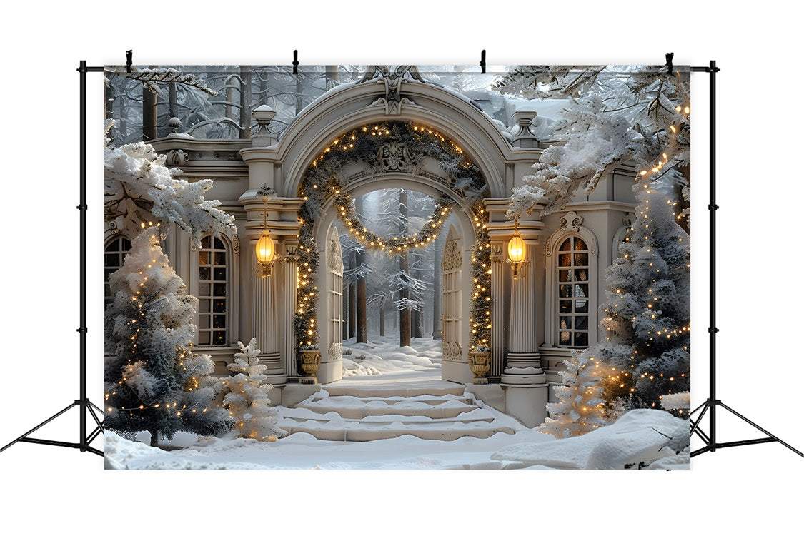 Toile de fond de Noël Arche Hivernale Merveilleuse RR7-593