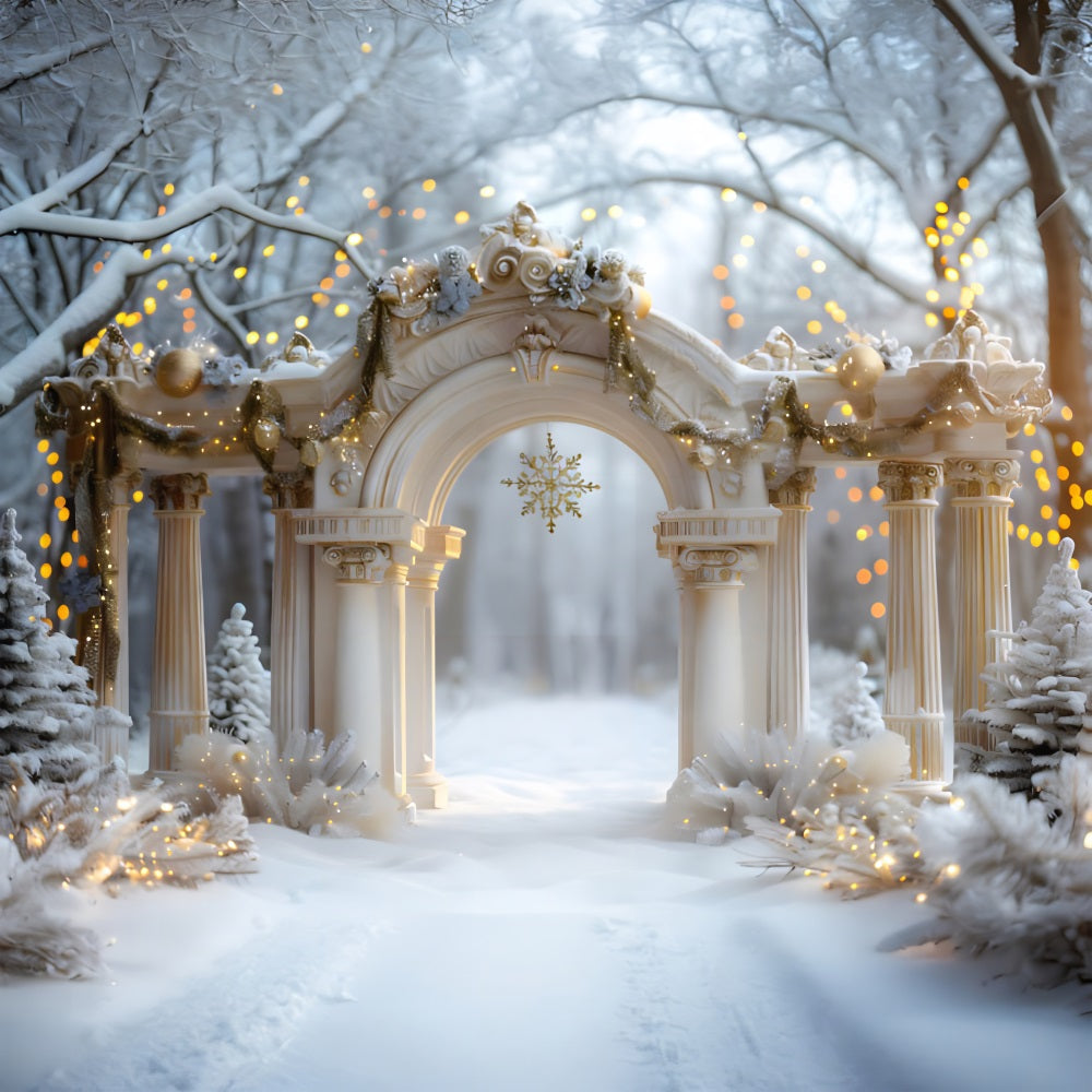 Toile de fond de Noël Arche Élégante avec Flocons RR7-614