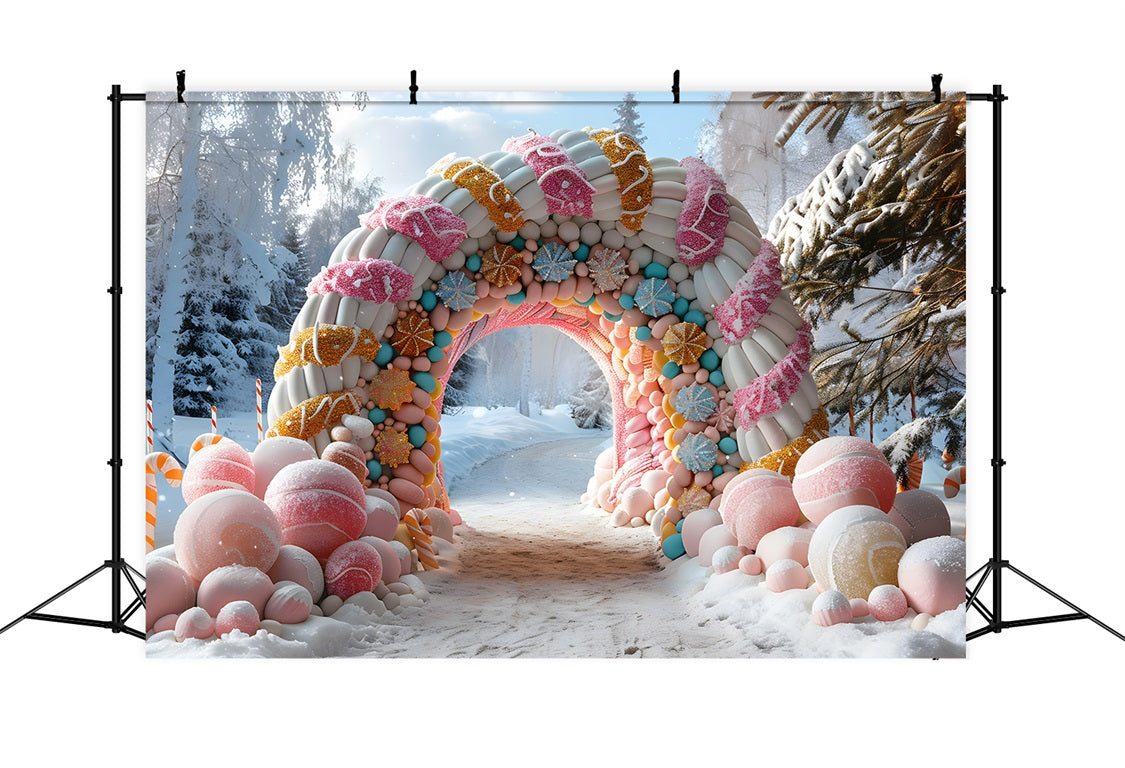 Toile de fond de Noël Entrée Rustique en Arche avec Couronnes RR7-700