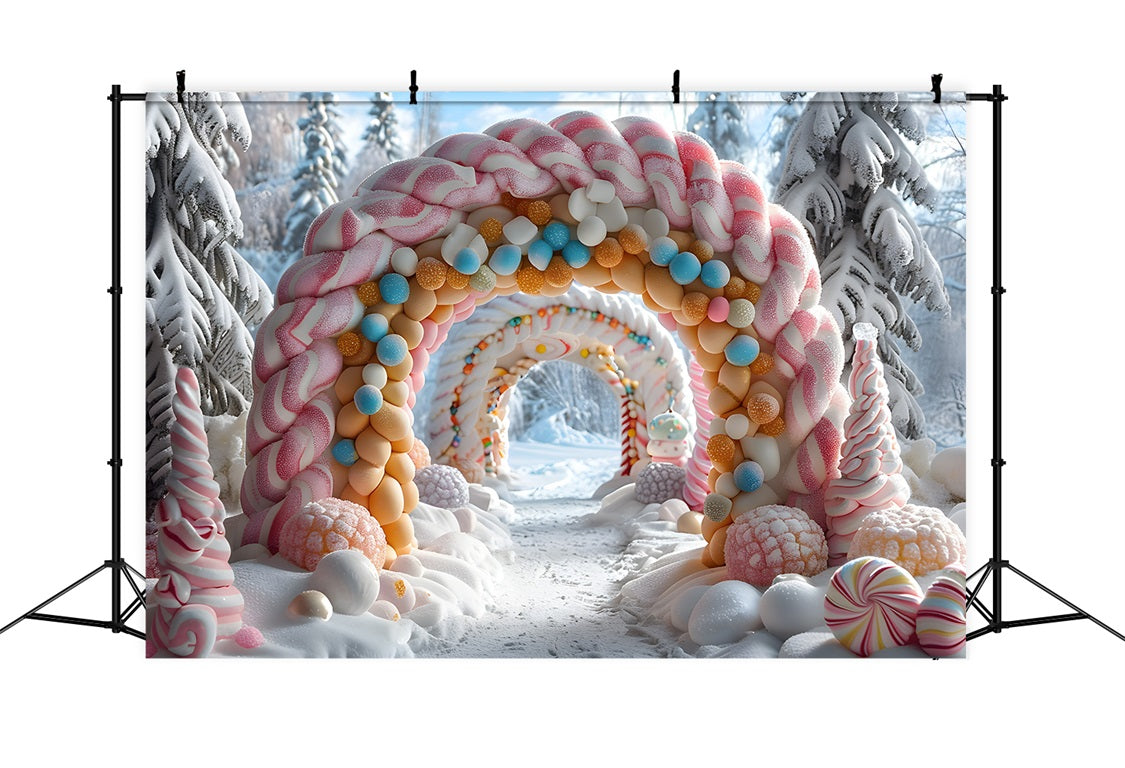Toile de fond de Noël Porte Enneigée en Arche avec Décorations RR7-702