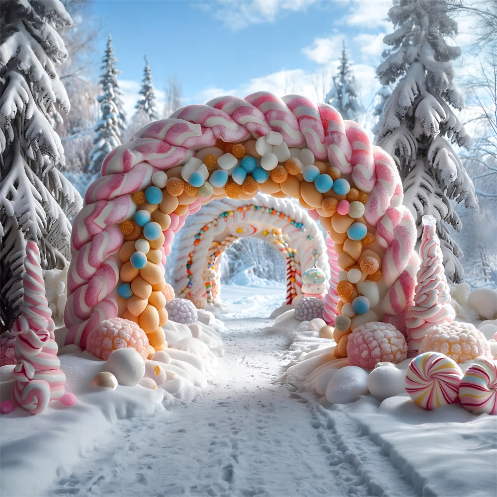 Toile de fond de Noël Porte Enneigée en Arche avec Décorations RR7-702