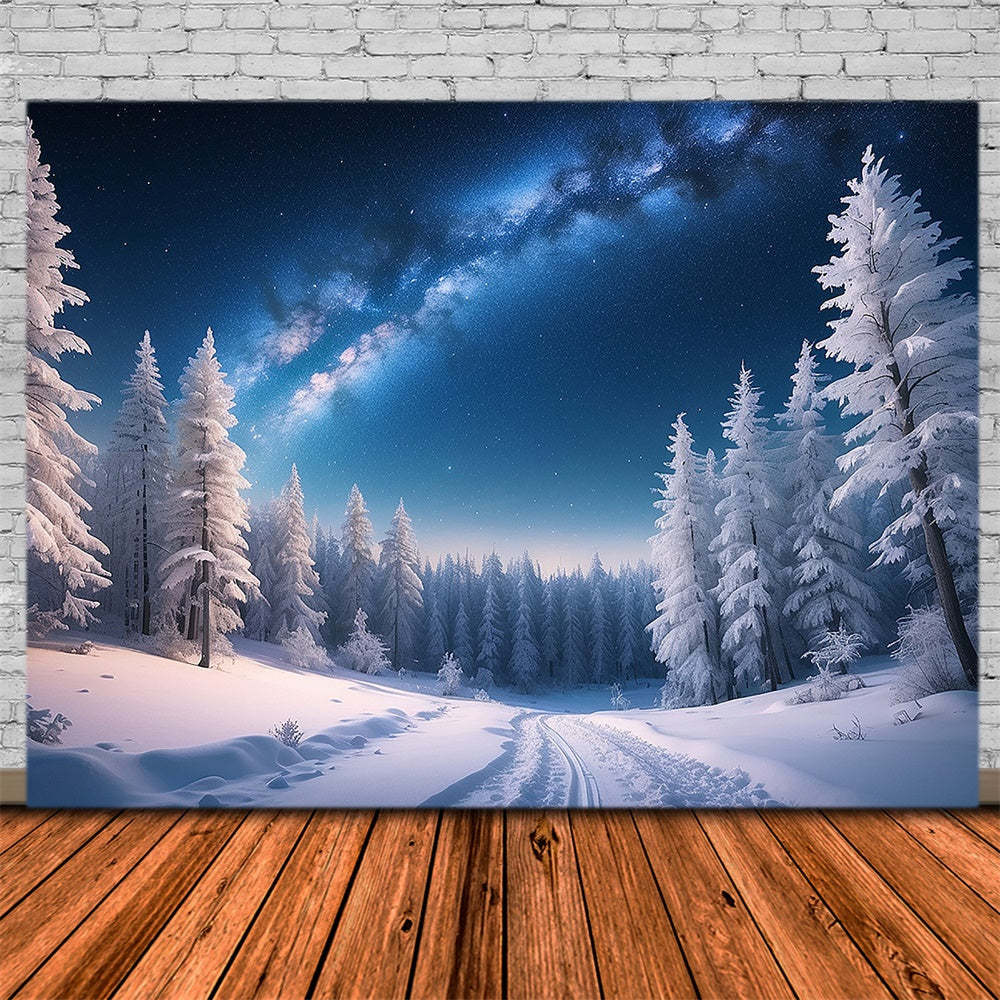 Toile de fond de Forêt Enneigée en Nuit Hivernale de Noël RR7-771