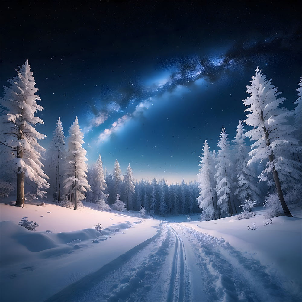 Toile de fond de Forêt Enneigée en Nuit Hivernale de Noël RR7-771
