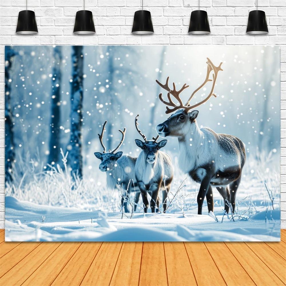 Toile de fond de Forêt Neigeuse avec Renne de Noël RR7-773