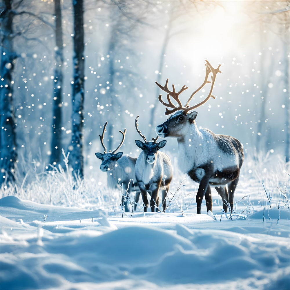 Toile de fond de Forêt Neigeuse avec Renne de Noël RR7-773