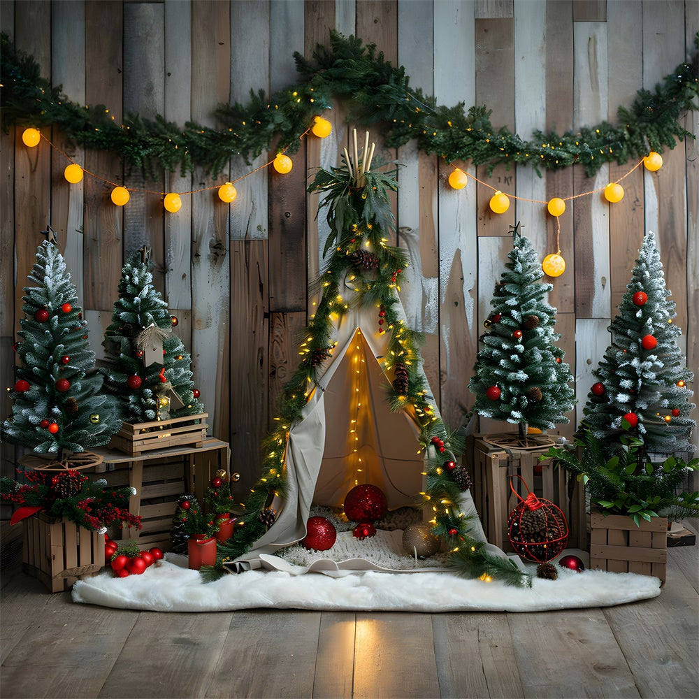 Toile de fond Petite Tente Lumières de Noël RR8-12