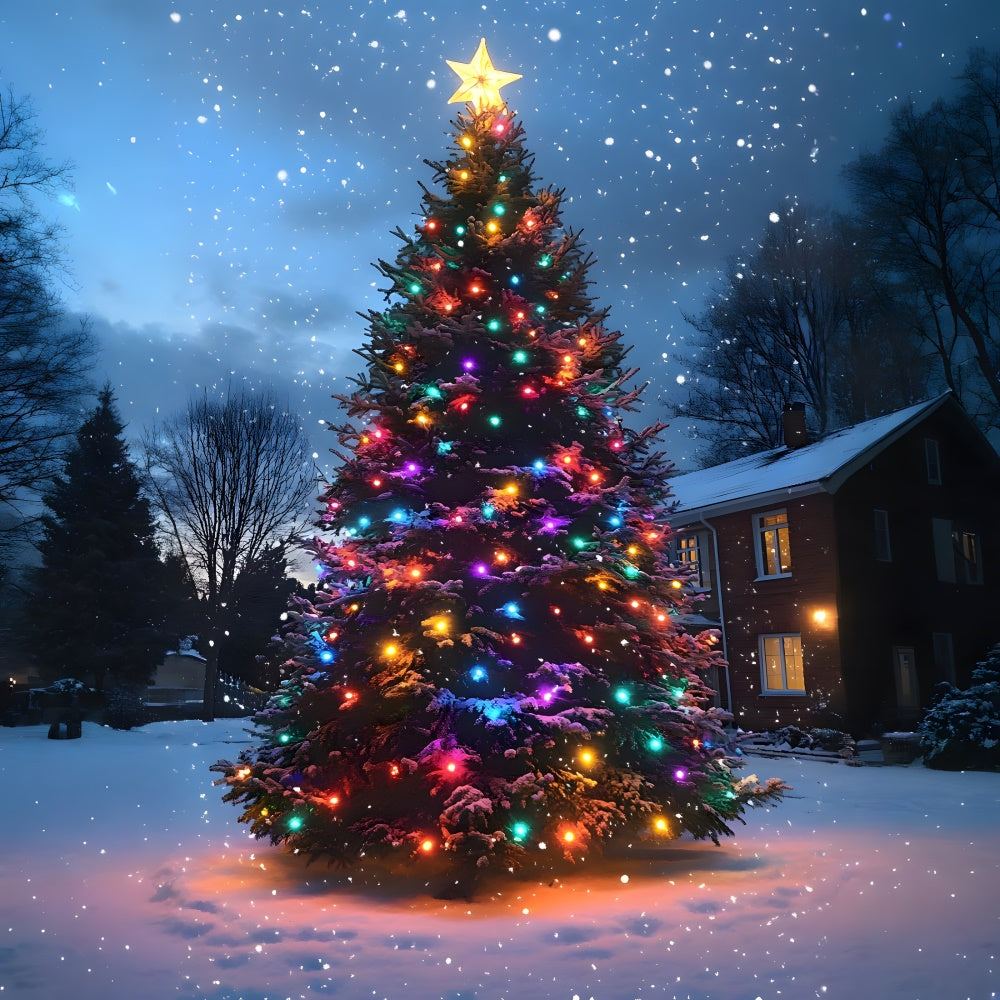 Toile de fond Flocons de Neige Sapin de Noël RR8-127