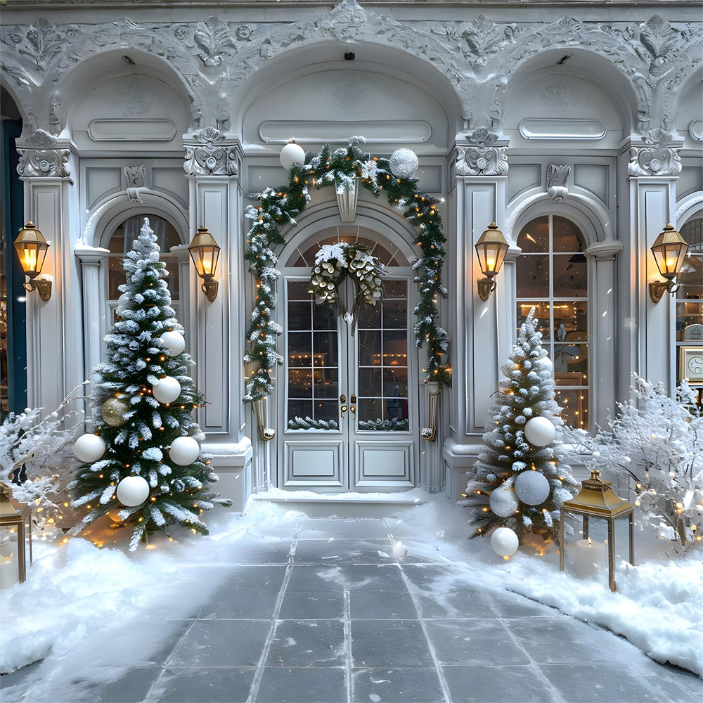 Toile de fond Porte d'Entrée Décorée de Guirlandes de Noël RR8-14