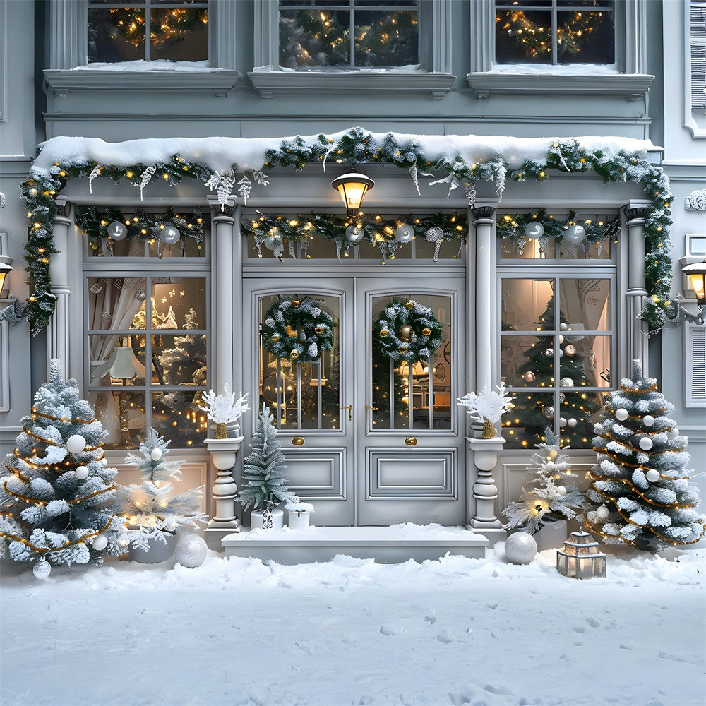 Toile de fond Porte de Maison Enneigée de Noël RR8-15