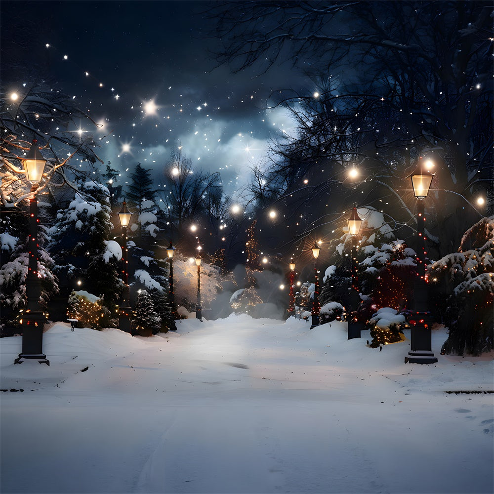 Toile de fond Sapins Neigeux Illuminés de Noël RR8-28