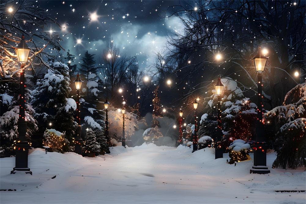 Toile de fond Sapins Neigeux Illuminés de Noël RR8-28