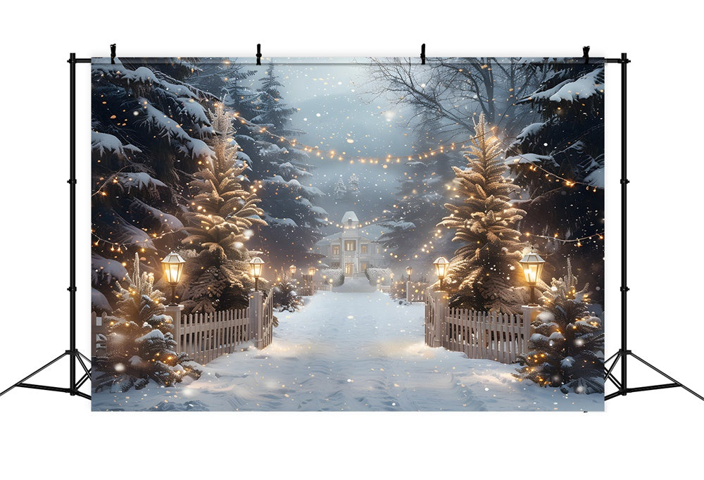 Toile de fond Maison en Bois Lumières de Noël RR8-30