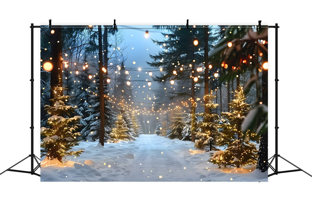 Toile de fond Forêt Neigeuse Illuminée de Noël RR8-31