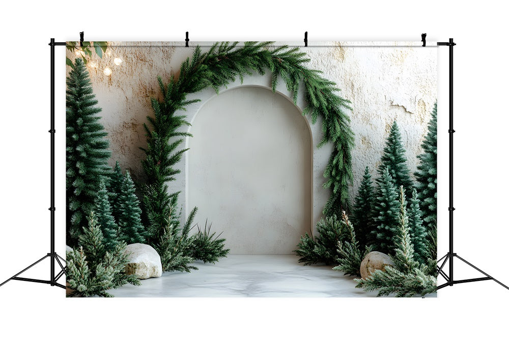 Toile de Fond Arche de Sapin de Noël pour Photographie RR8-347