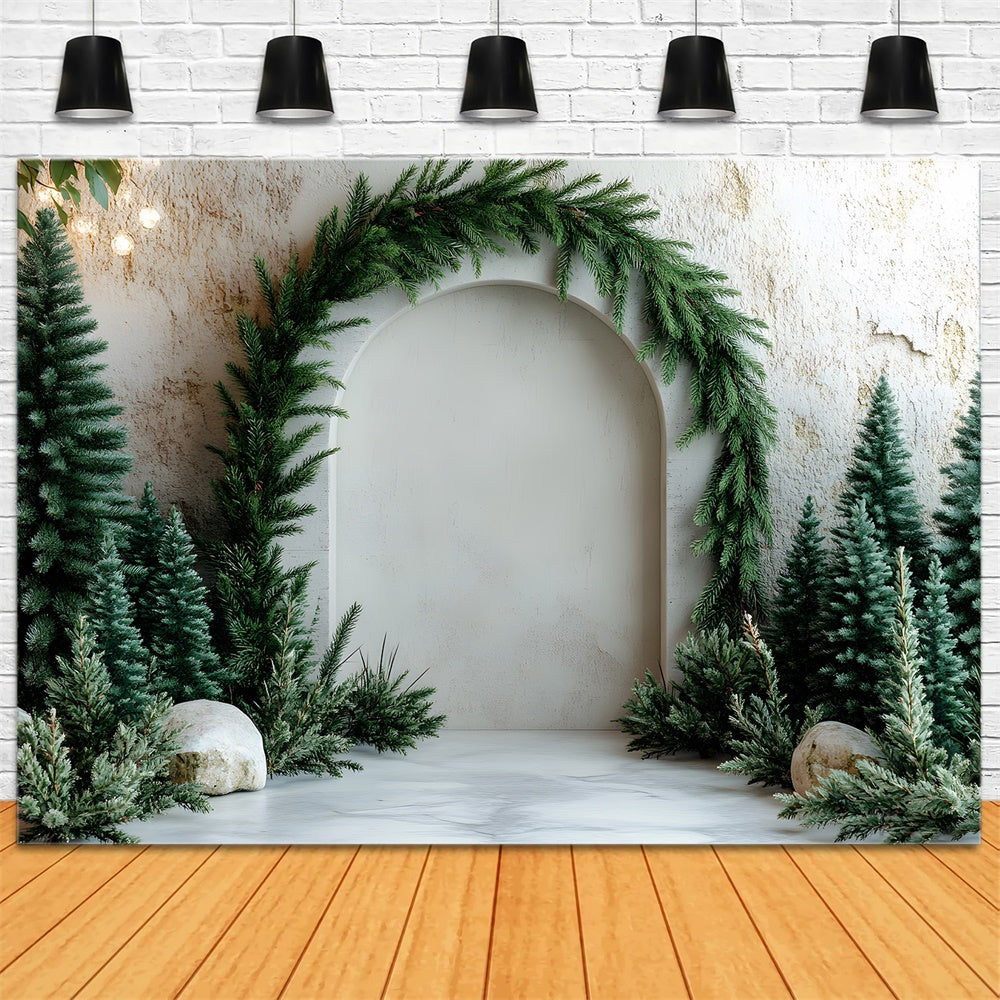 Toile de Fond Arche de Sapin de Noël pour Photographie RR8-347