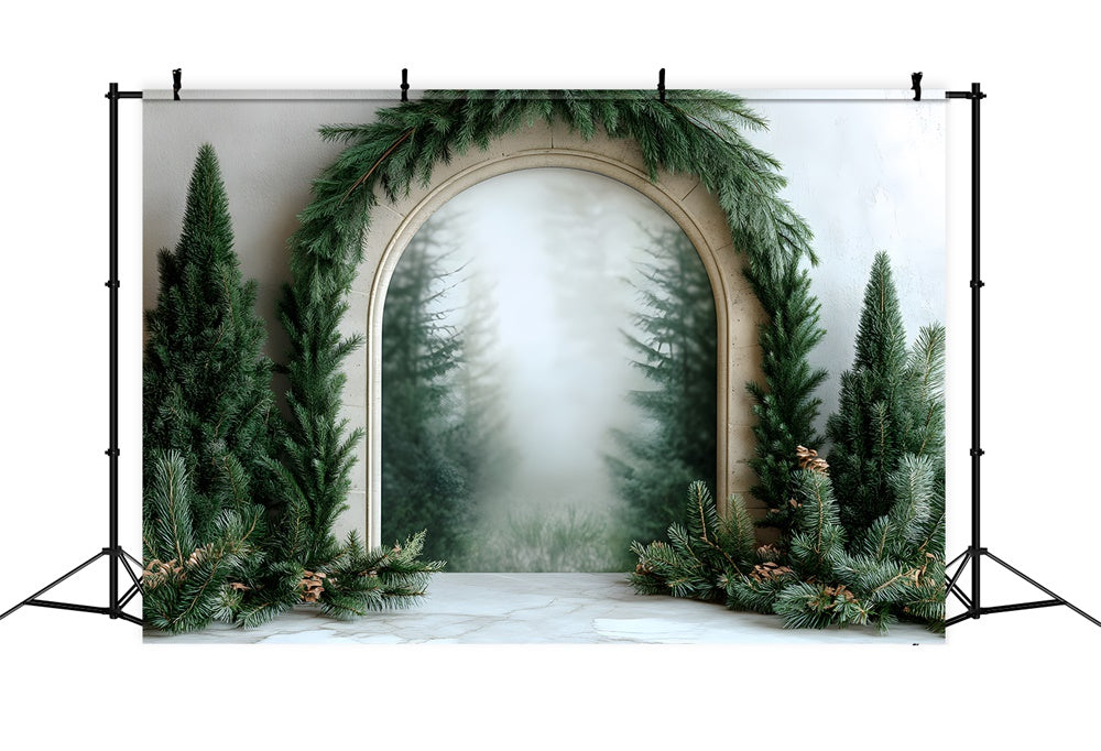 Toile de Fond Photographie avec Guirlande de Sapin de Noël RR8-348
