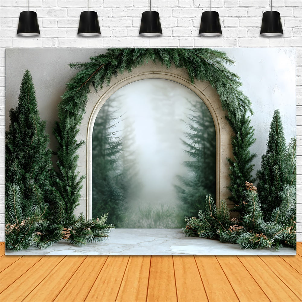 Toile de Fond Photographie avec Guirlande de Sapin de Noël RR8-348