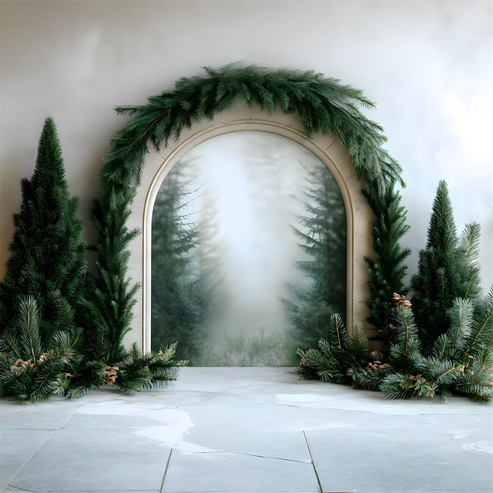 Toile de Fond Photographie avec Guirlande de Sapin de Noël RR8-348