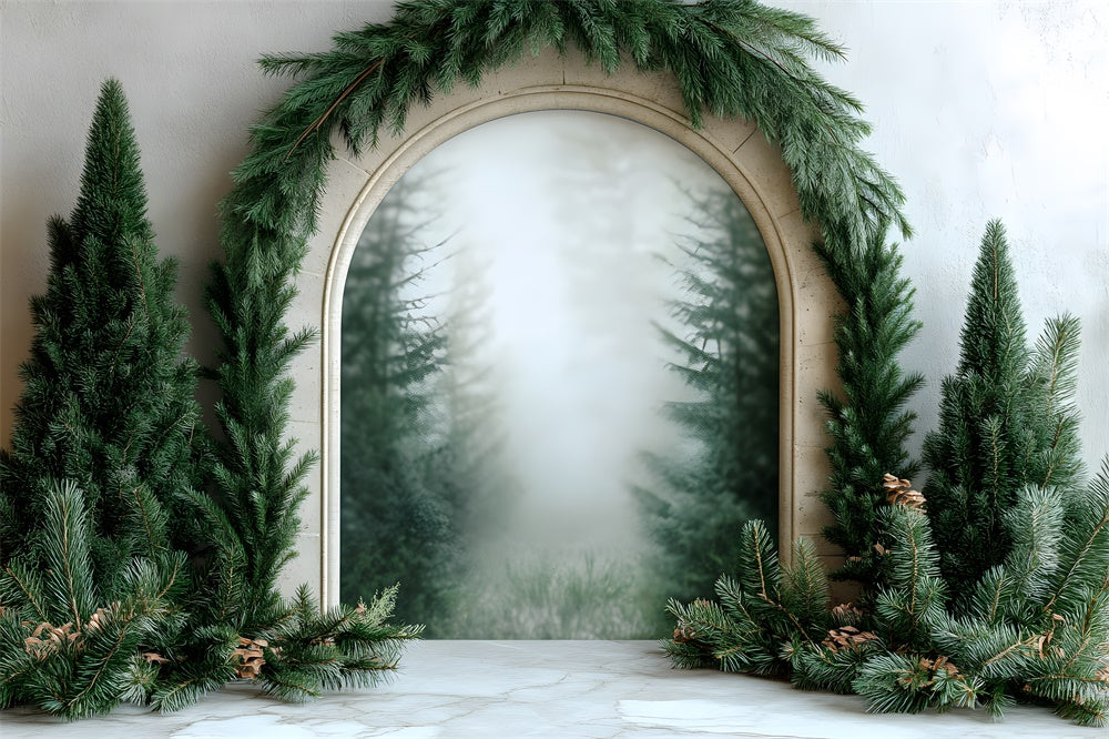 Toile de Fond Photographie avec Guirlande de Sapin de Noël RR8-348