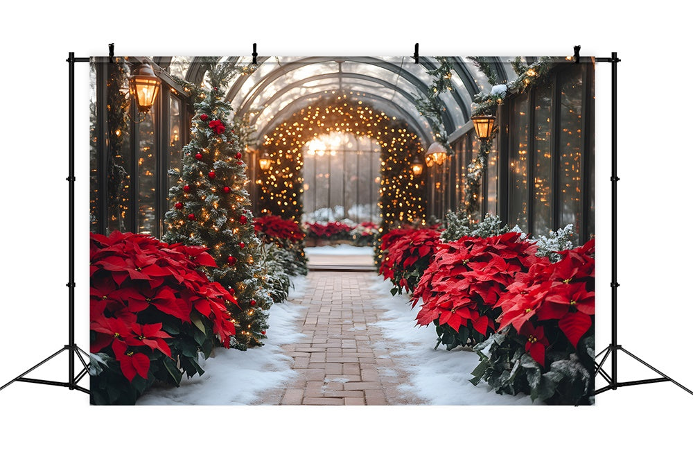Toile de Fond Poinsettia et Guirlande Lumineuse de Noël RR8-355