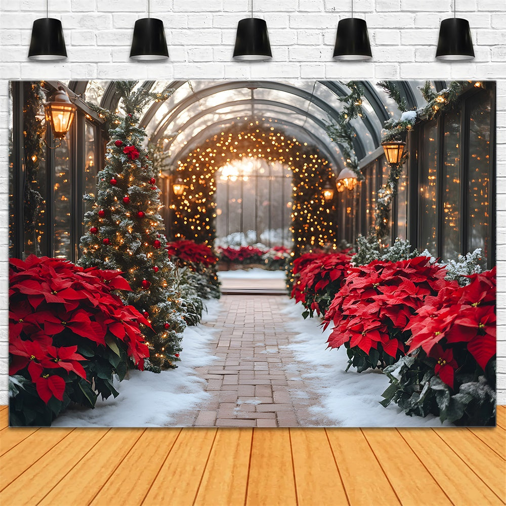 Toile de Fond Poinsettia et Guirlande Lumineuse de Noël RR8-355
