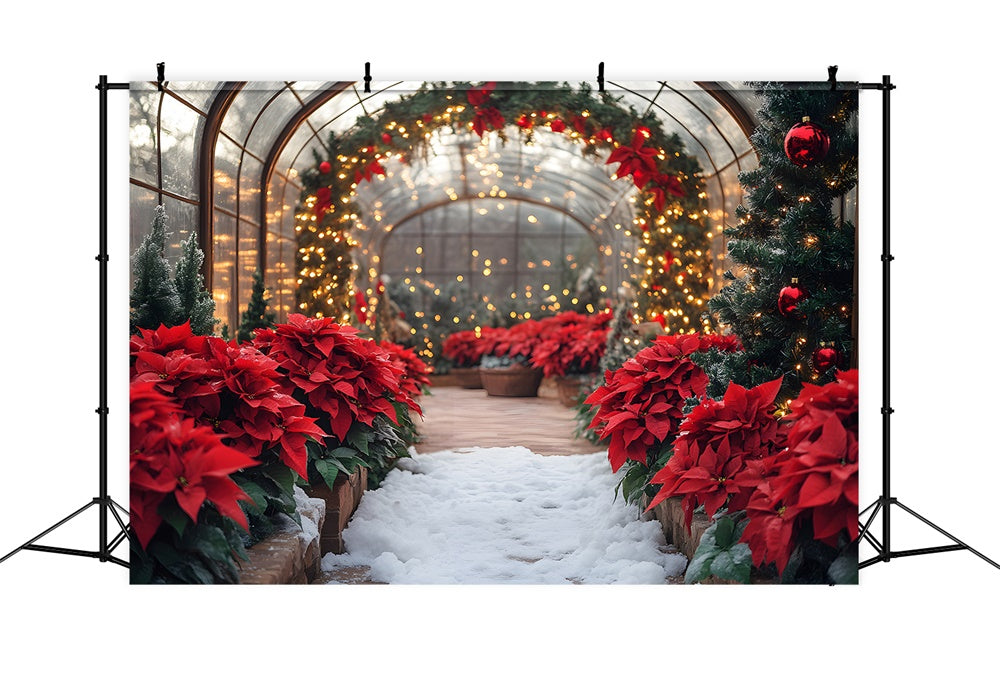 Toile de Fond Guirlande Lumineuse avec Poinsettia de Noël RR8-356