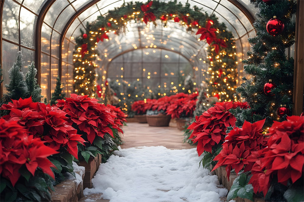 Toile de Fond Guirlande Lumineuse avec Poinsettia de Noël RR8-356