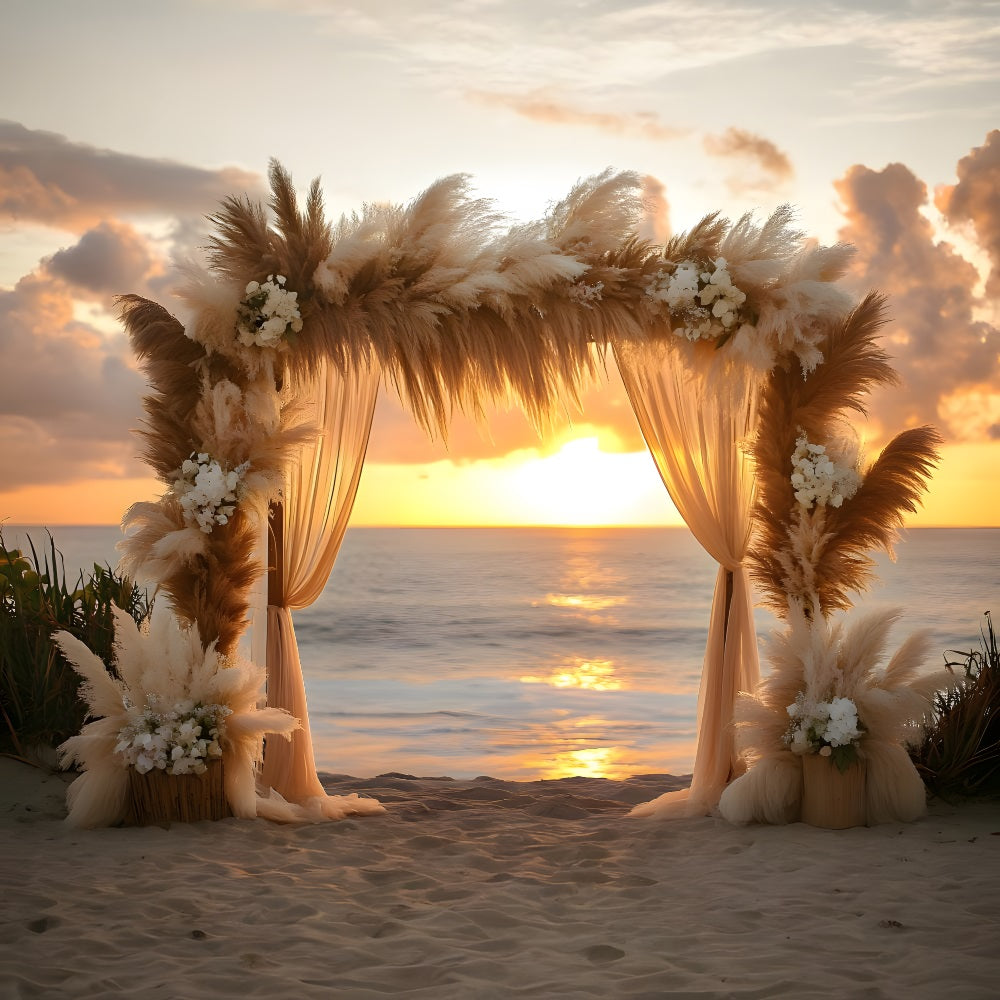 Toile de Fond Arche de Coucher de Soleil sur la Plage Bohème RR8-433