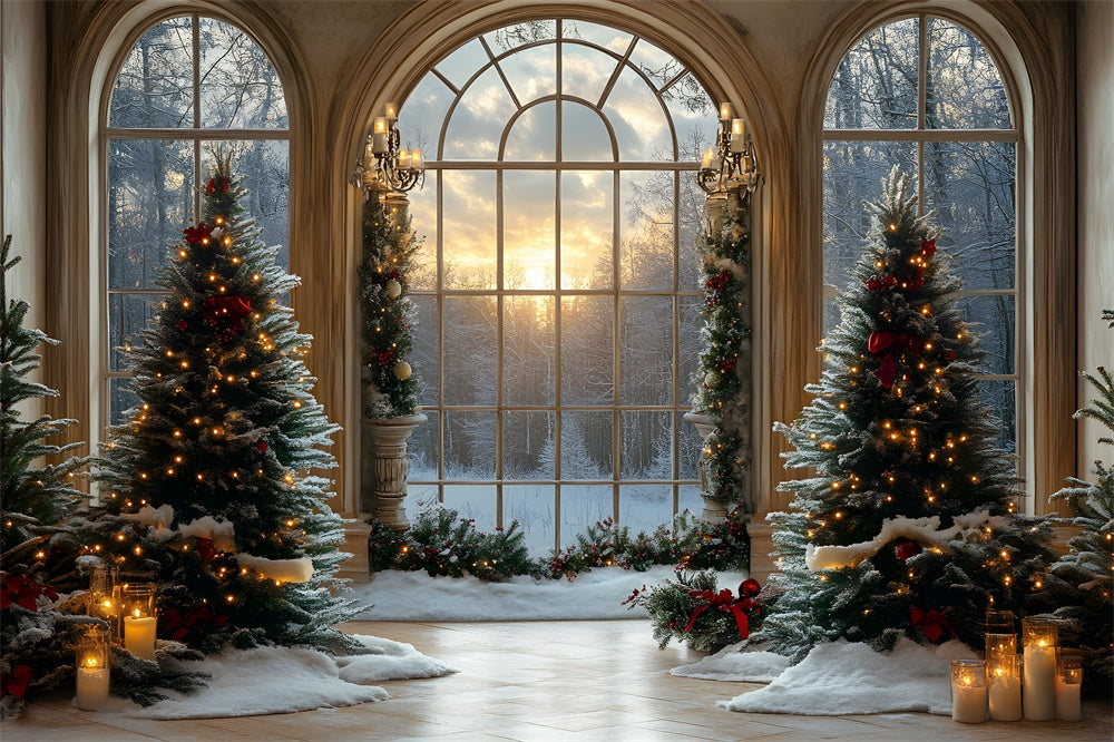 Toile de fond Sapins Fenêtre Forêt Enneigée de Noël RR8-90